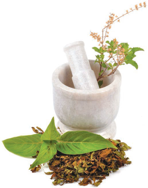 Ayurvedic_Herb_3