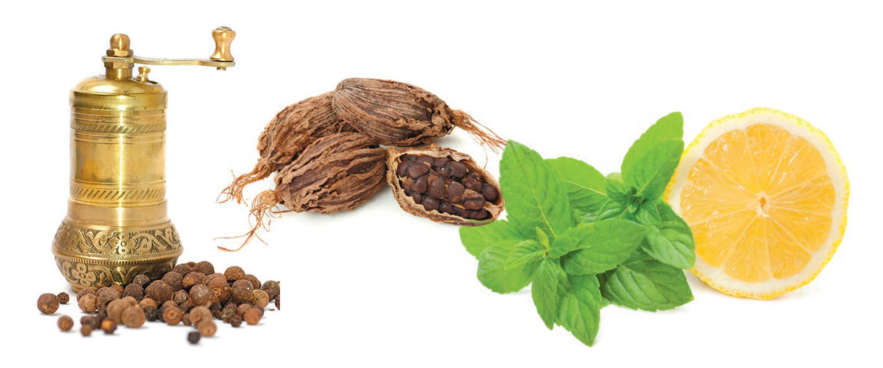 Ayurvedic_Herb_5