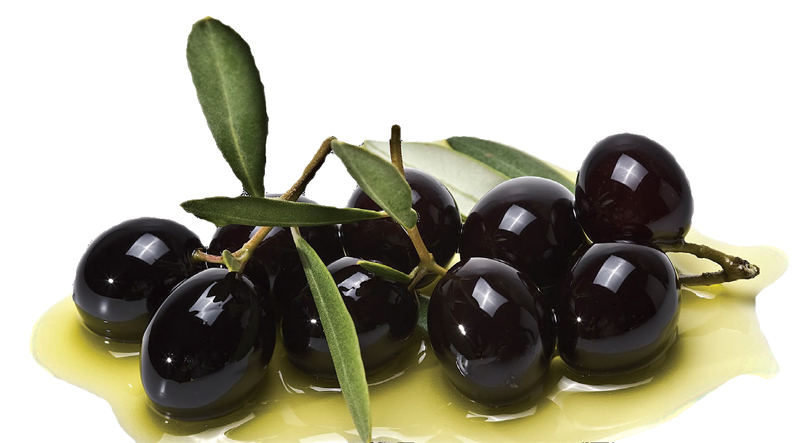 Olive_Oil_2